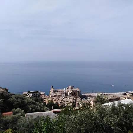 Ancora Gasthof Camogli