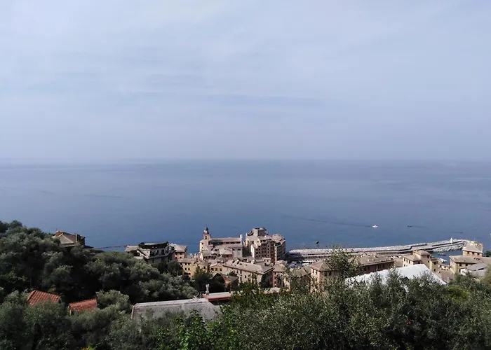 Ancora Pensionat Camogli